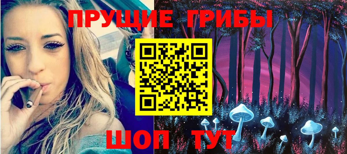 Ленинск-Кузнецкий  Галлюциногенные грибы мухоморы  даркнет сайт  Псилоцибиновые грибы GOLDEN TEACHER  Вход с VPN 