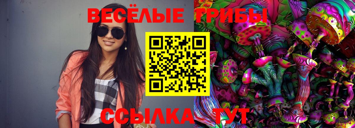 Галлюциногенные грибы Psilocybe Ленинск-Кузнецкий